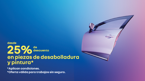 Renault Care Service